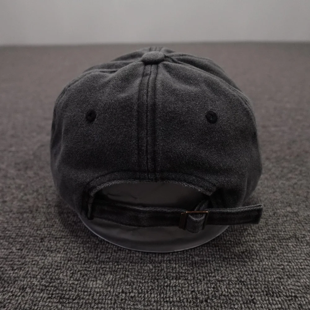 U.S. Air Force Hat Cap Strap Back Mens One Size Gray Baseball 250th Anniversary